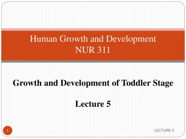 Human Growth and Development NUR 311 Growth and Development of Toddler Stage Lecture 5