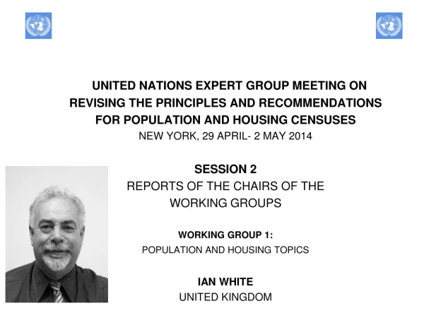 UNITED NATIONS EXPERT GROUP MEETING ON  REVISING THE PRINCIPLES AND RECOMMENDATIONS