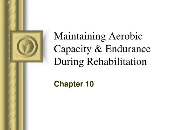 Maintaining Aerobic Capacity &amp; Endurance During Rehabilitation