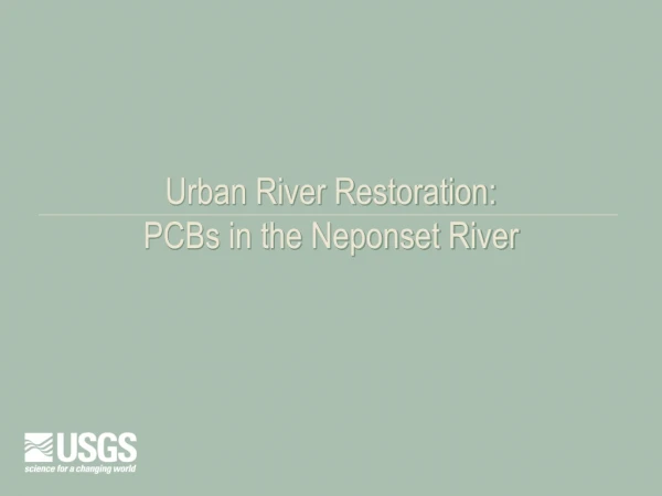 Urban River Restoration:  PCBs in the Neponset River