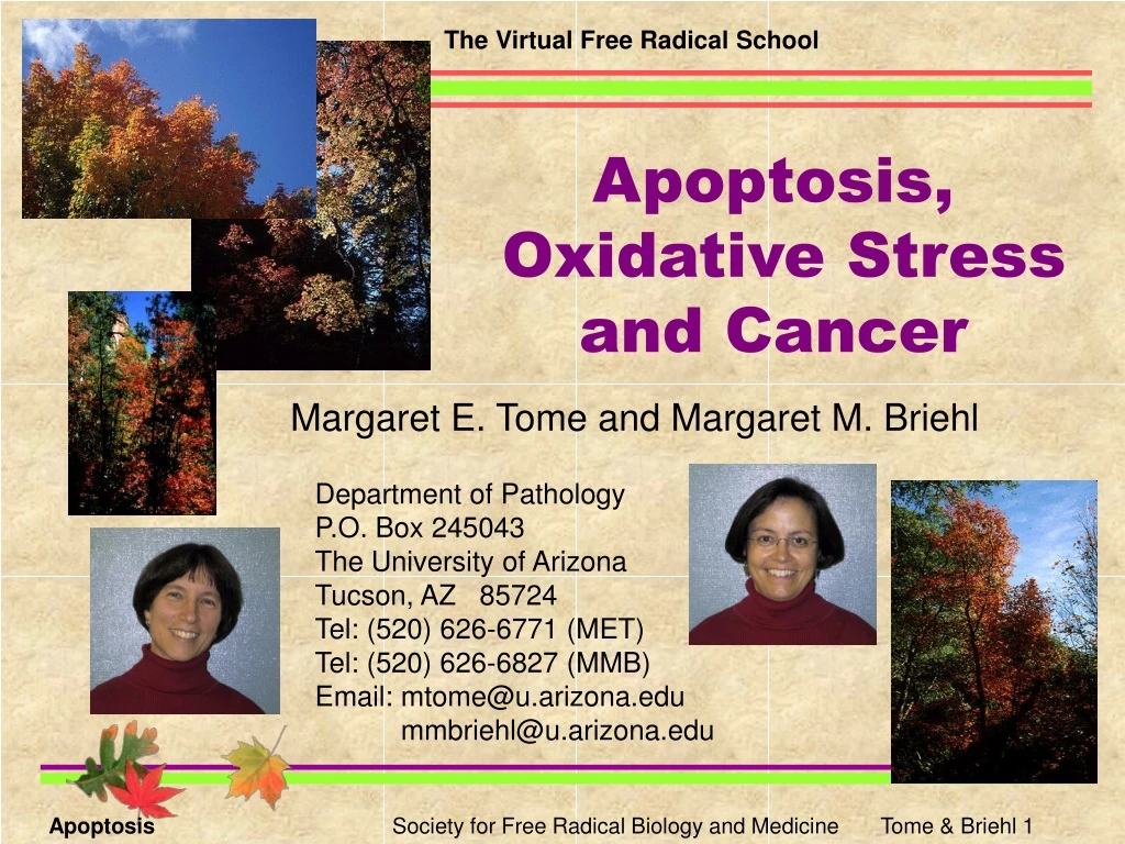 apoptosis oxidative stress and cancer