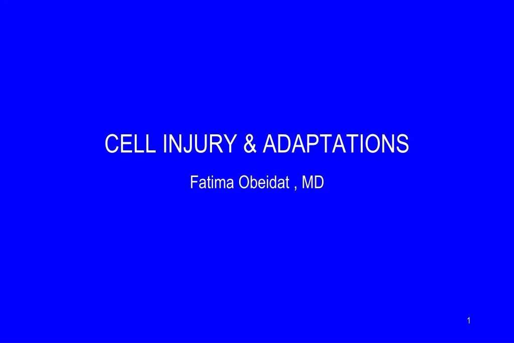 cell injury adaptations