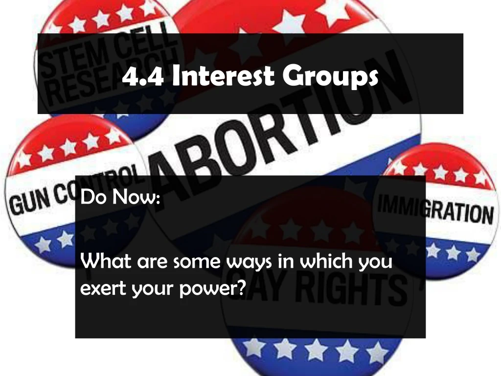 4 4 interest groups