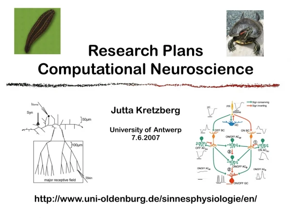 Research Plans  Computational Neuroscience