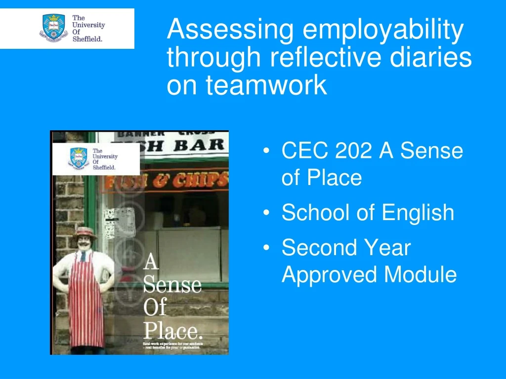 assessing employability through reflective diaries on teamwork