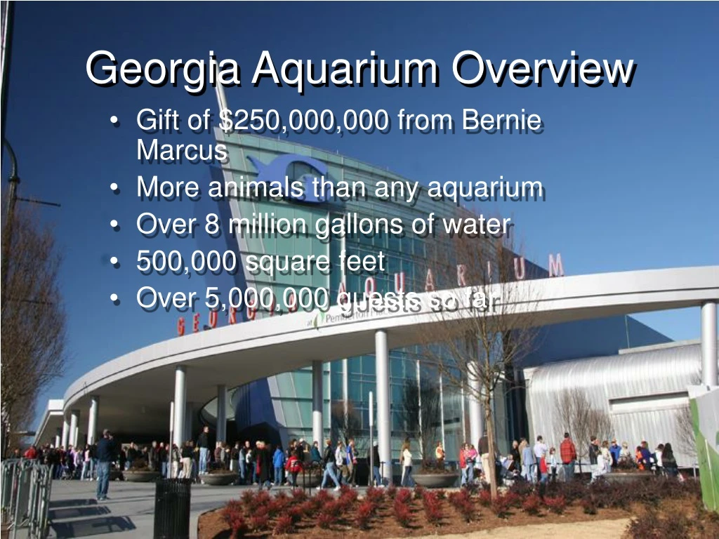 georgia aquarium overview