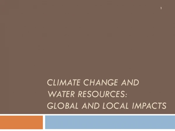 Climate Change and Water Resources:  Global and Local Impacts