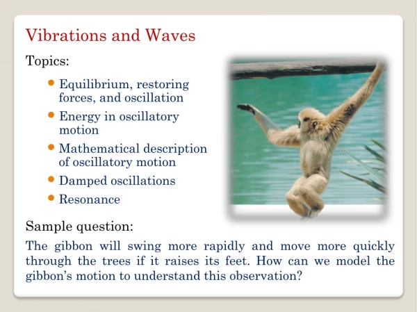 Equilibrium, restoring forces, and oscillation Energy in oscillatory motion