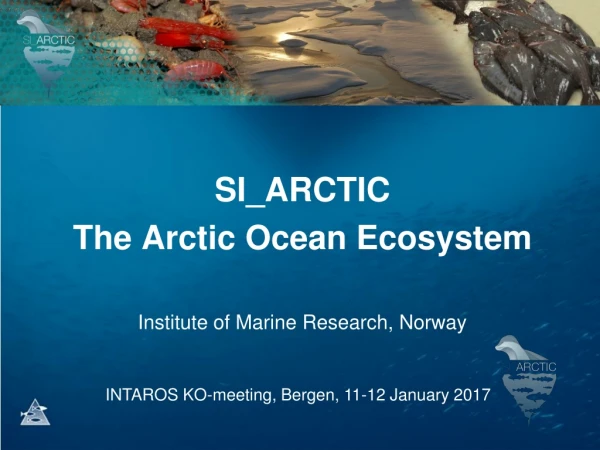 SI_ARCTIC  The Arctic Ocean Ecosystem Institute of Marine Research, Norway