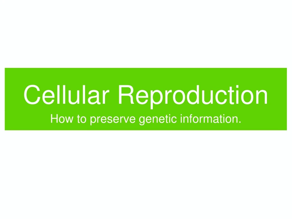cellular reproduction