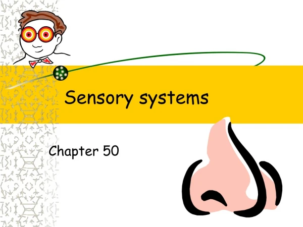 Sensory systems