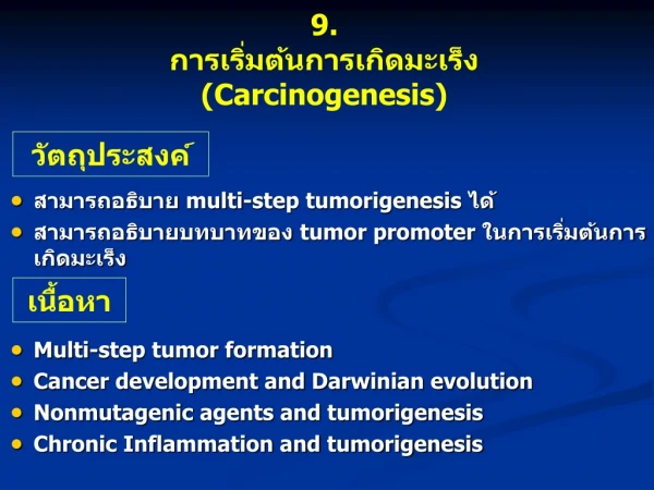 วัตถุประสงค์