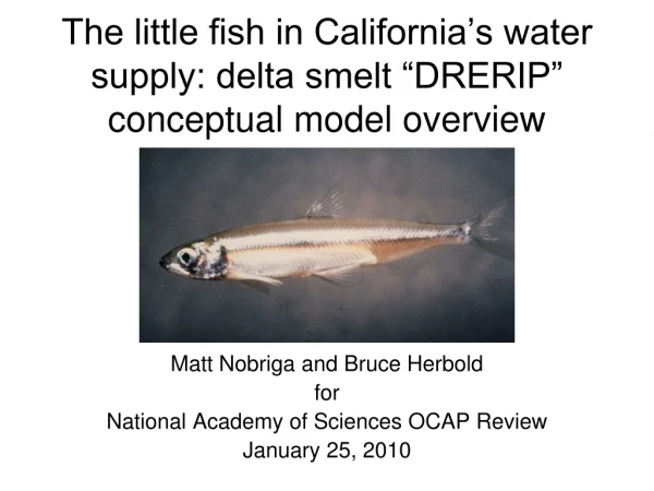 The little fish in California’s water supply: delta smelt “DRERIP” conceptual model overview