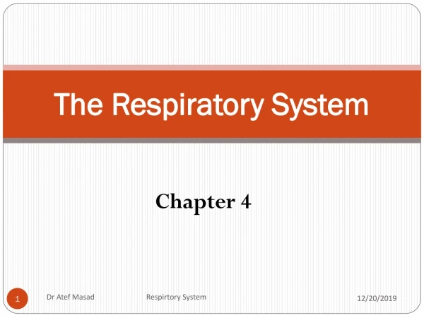 The Respiratory System