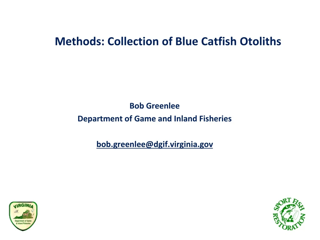 methods collection of blue catfish otoliths