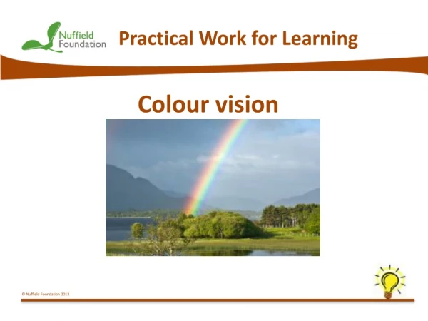 Colour vision