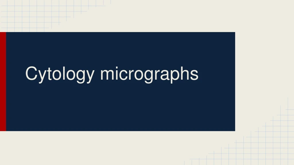 cytology micrographs