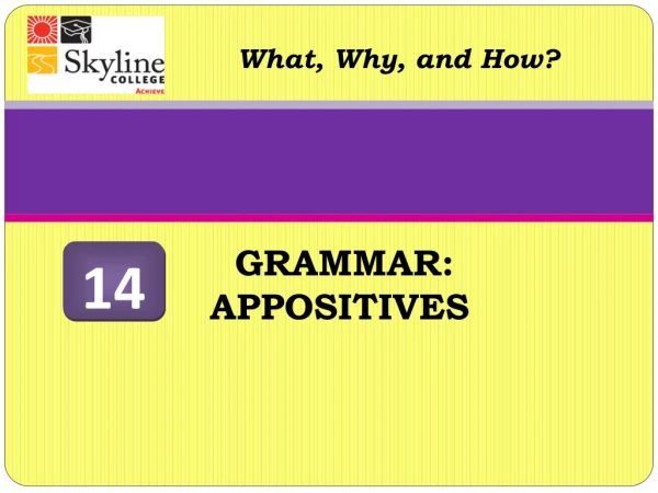 GRAMMAR:     APPOSITIVES