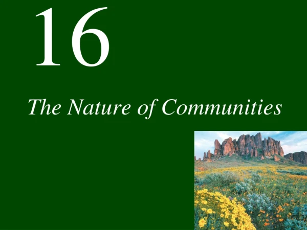 The Nature of Communities