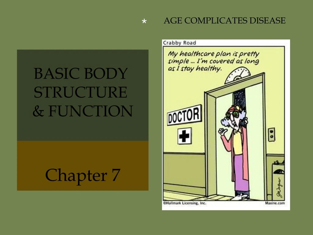 basic body structure function