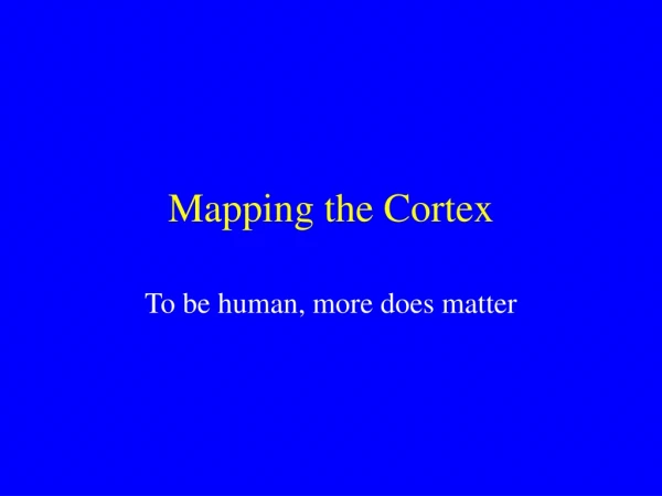 Mapping the Cortex