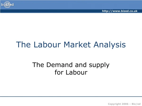 The Labour Market Analysis