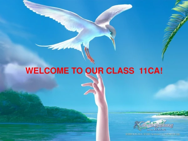 WELCOME TO OUR CLASS 11C2