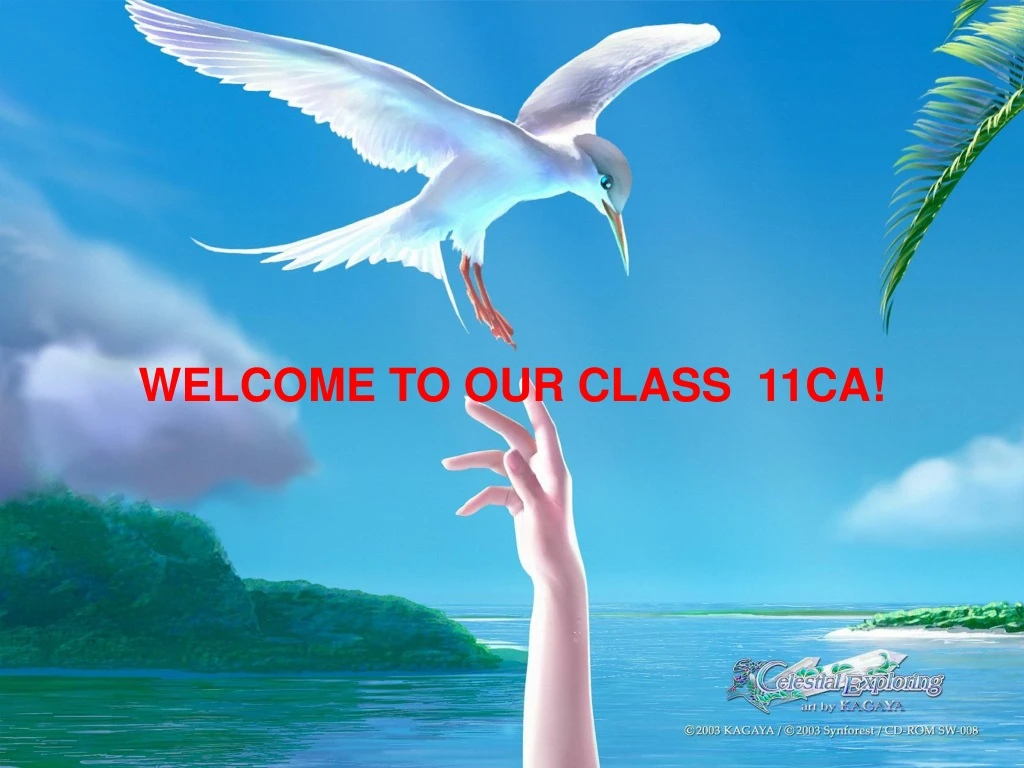 welcome to our class 11ca