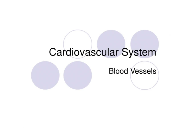 Cardiovascular System