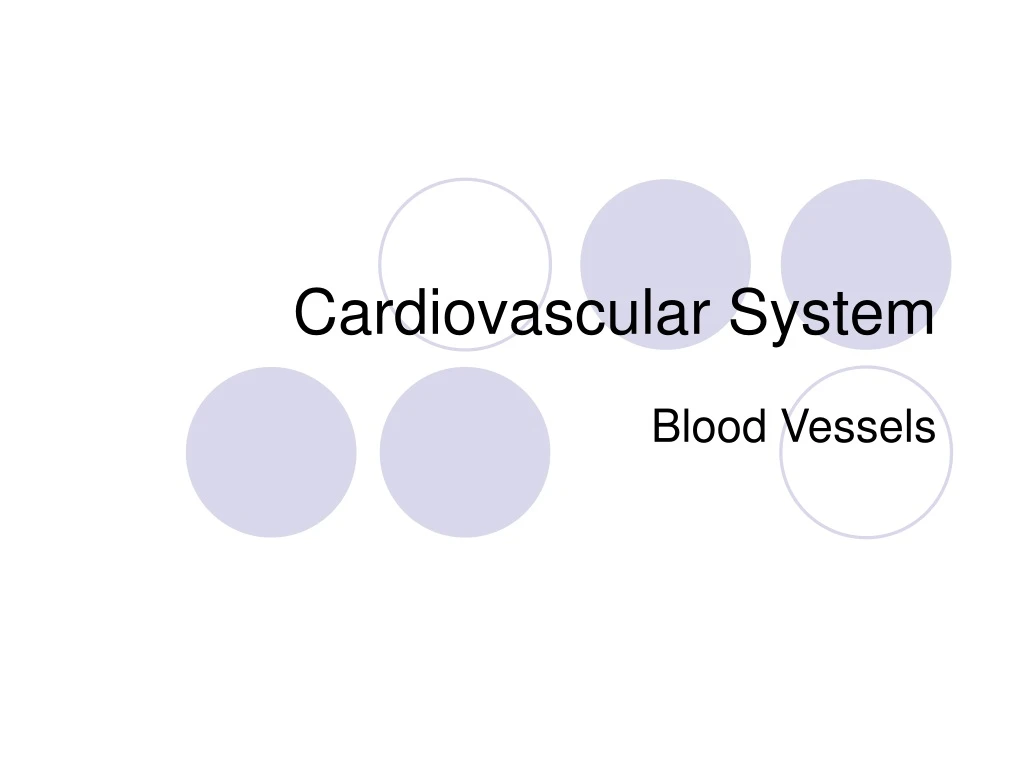 cardiovascular system