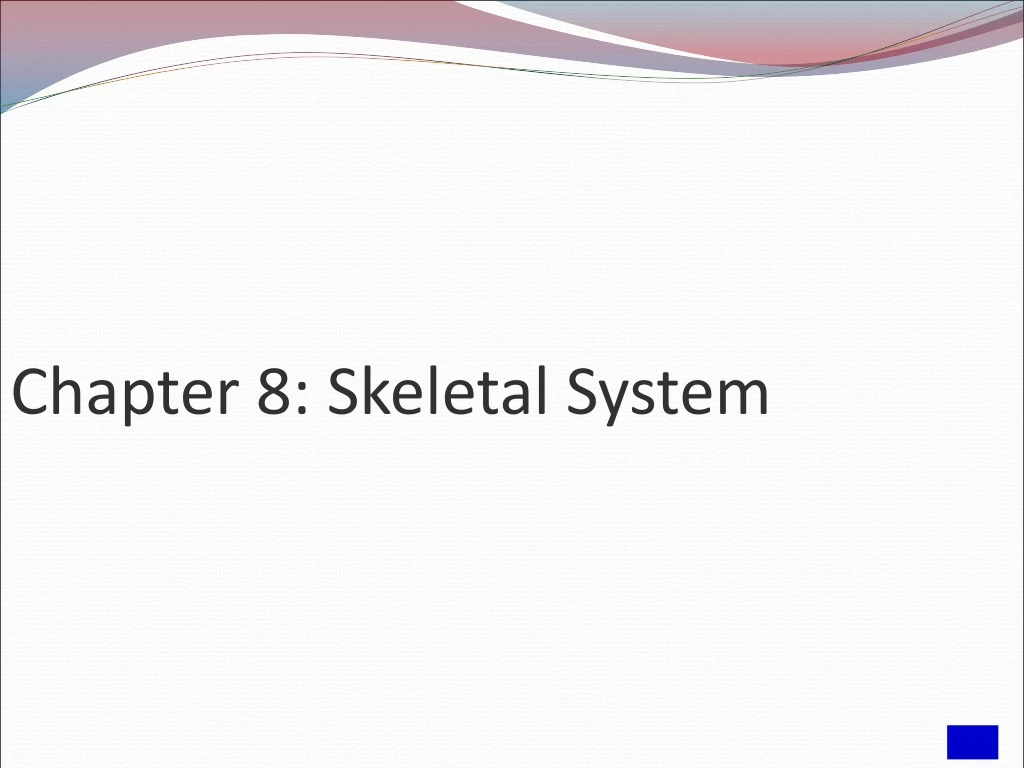 chapter 8 skeletal system