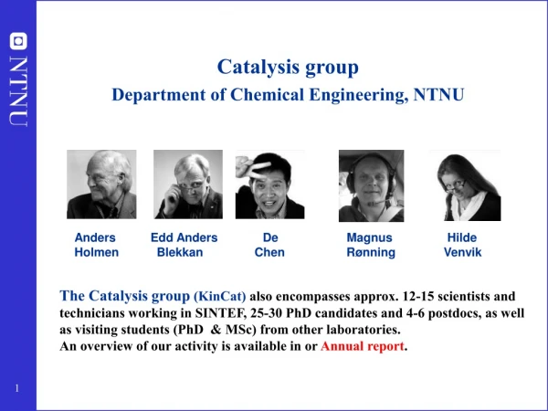 Catalysis group  Department of Chemical Engineering, NTNU