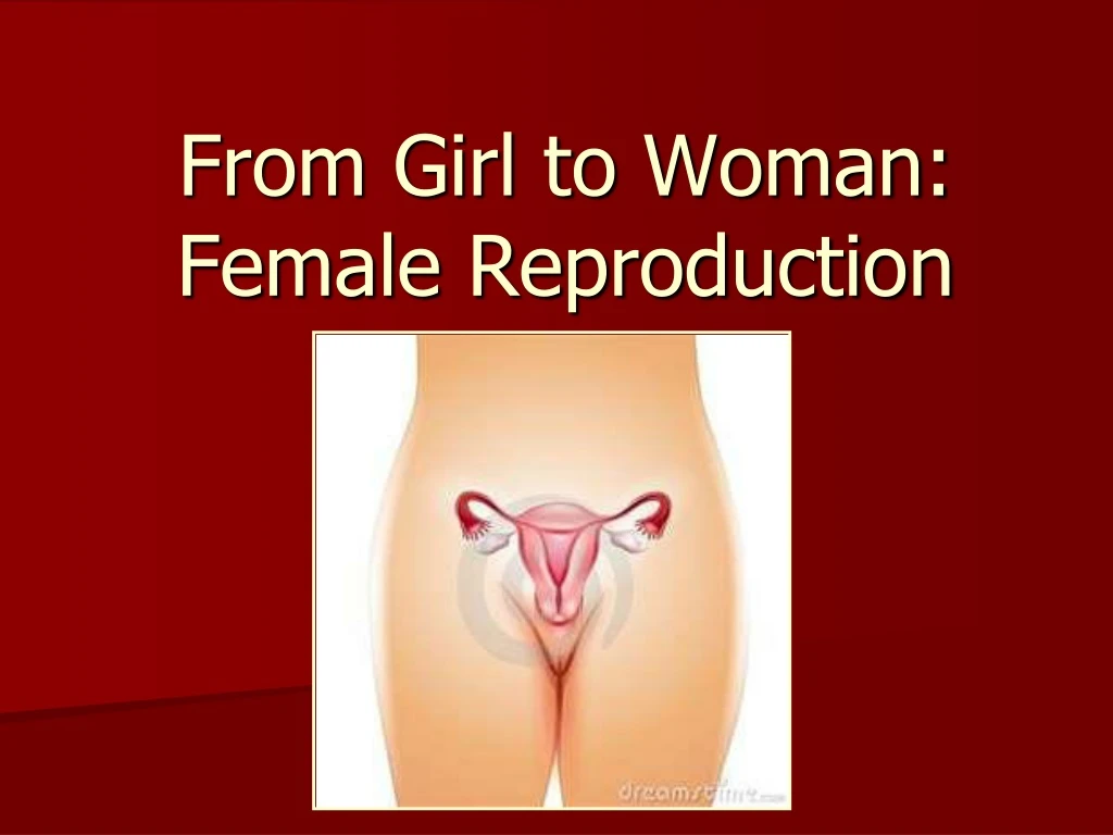 from girl to woman female reproduction