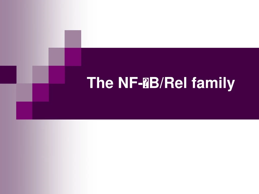 the nf b rel family