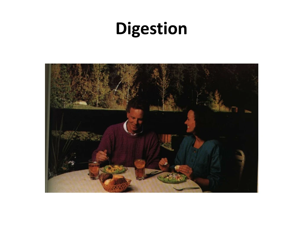 digestion