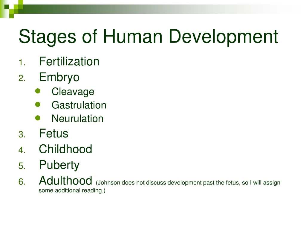 stages of human development