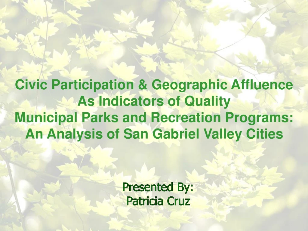 civic participation geographic affluence
