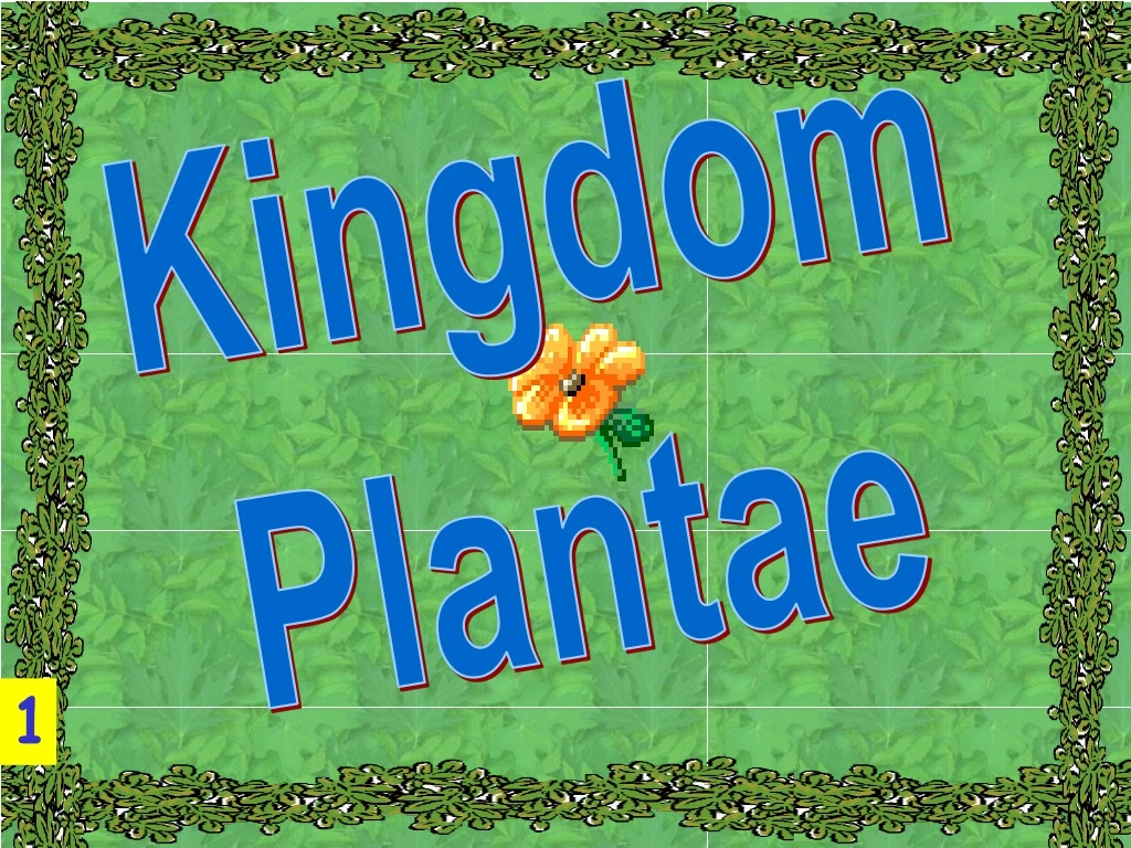 kingdom plantae