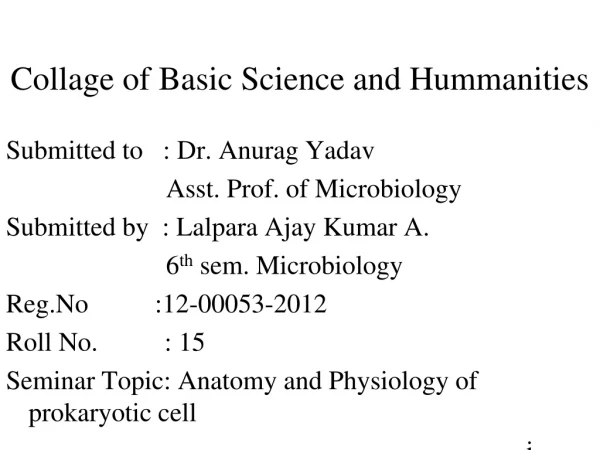 Collage of Basic Science and Hummanities