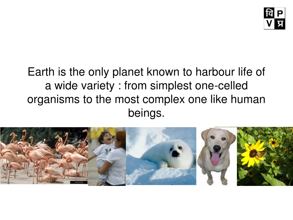 earth is the only planet known to harbour life