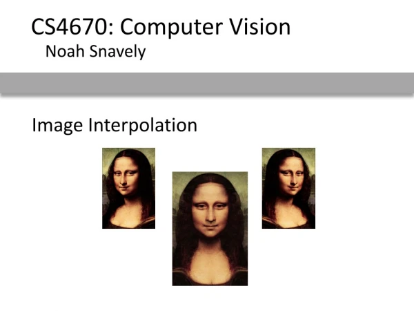 Image Interpolation