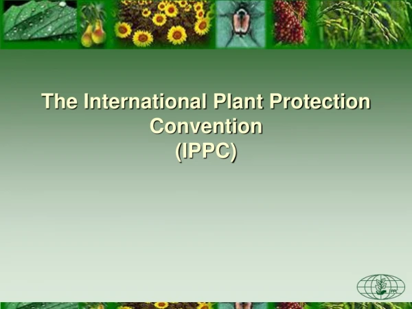 The International Plant Protection Convention (IPPC)