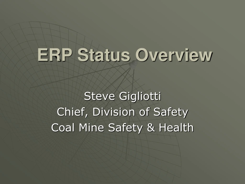 erp status overview