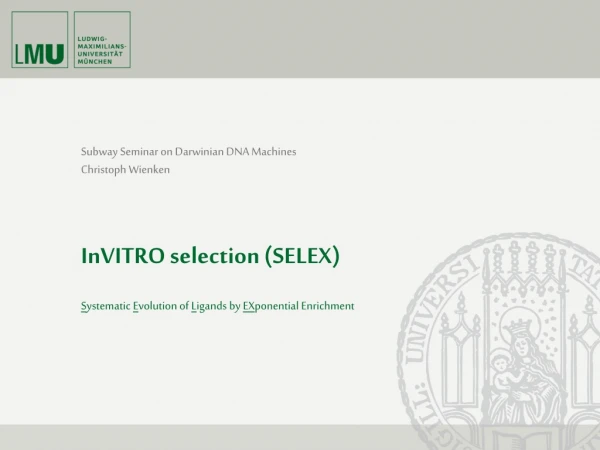 InVITRO selection (SELEX)