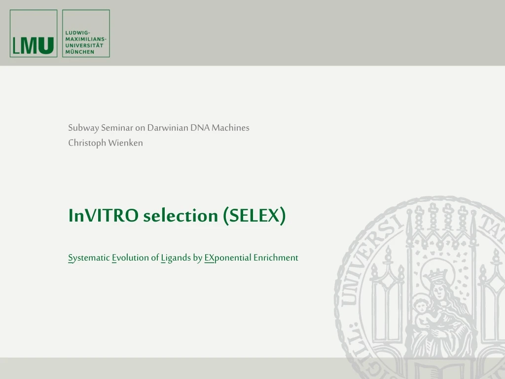 invitro selection selex