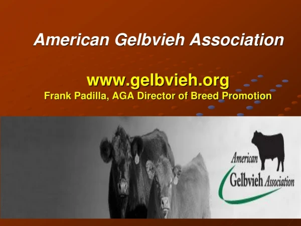 American Gelbvieh Association gelbvieh Frank Padilla, AGA Director of Breed Promotion