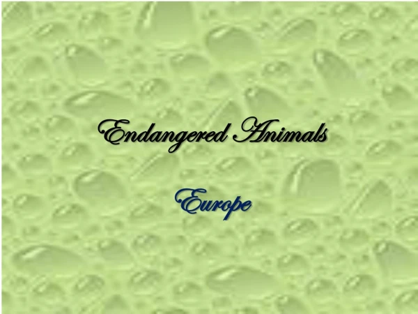 Endangered Animals