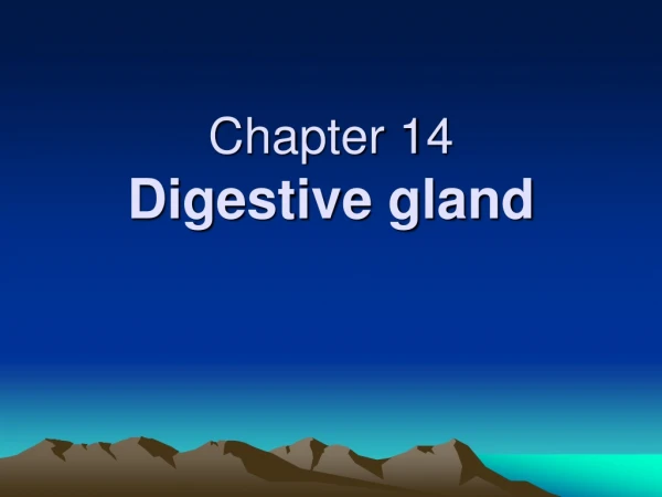 Chapter 14   Digestive gland