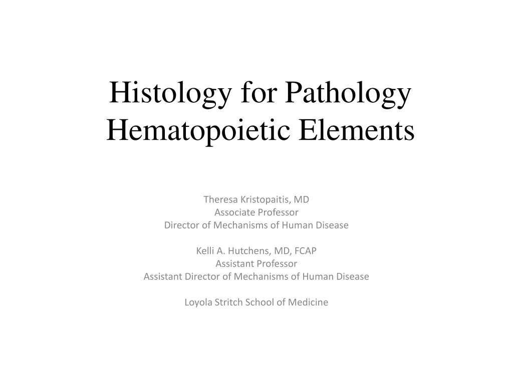 histology for pathology hematopoietic elements