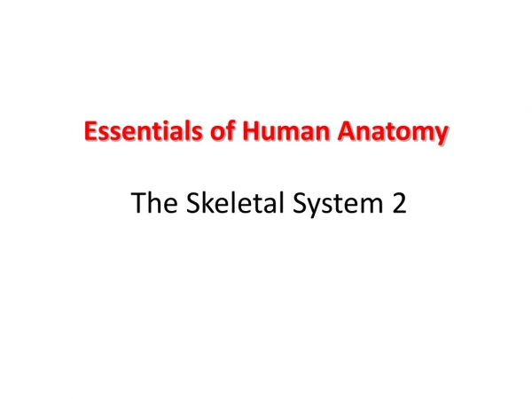 Essentials of Human Anatomy The Skeletal System 2